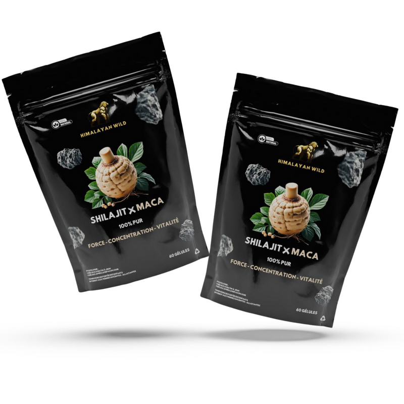 GELULES SHILAJIT X MACA