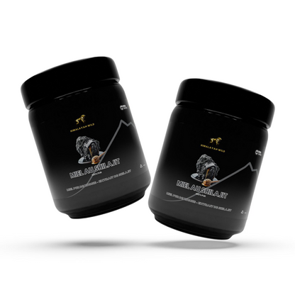 MIEL AU SHILAJIT
