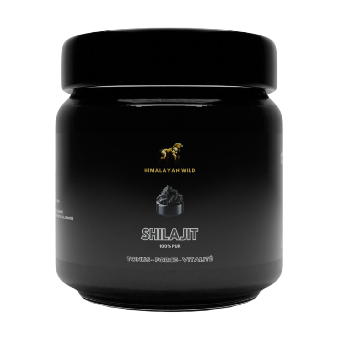 RÉSINE SHILAJIT PUR
